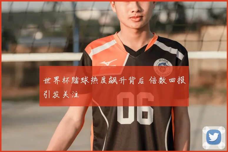 世界杯赌球热度飙升背后 倍数回报引发关注