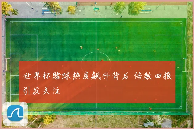 世界杯赌球热度飙升背后 倍数回报引发关注