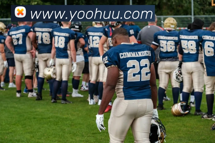 开元体育app官方网站APP 封面图